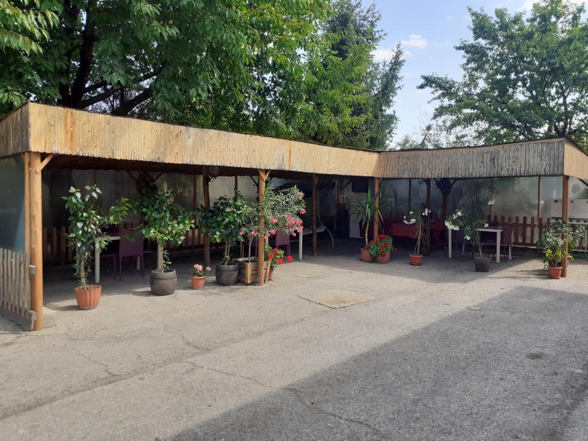 Guest House Edelvais Dve Mogili Екстер'єр фото