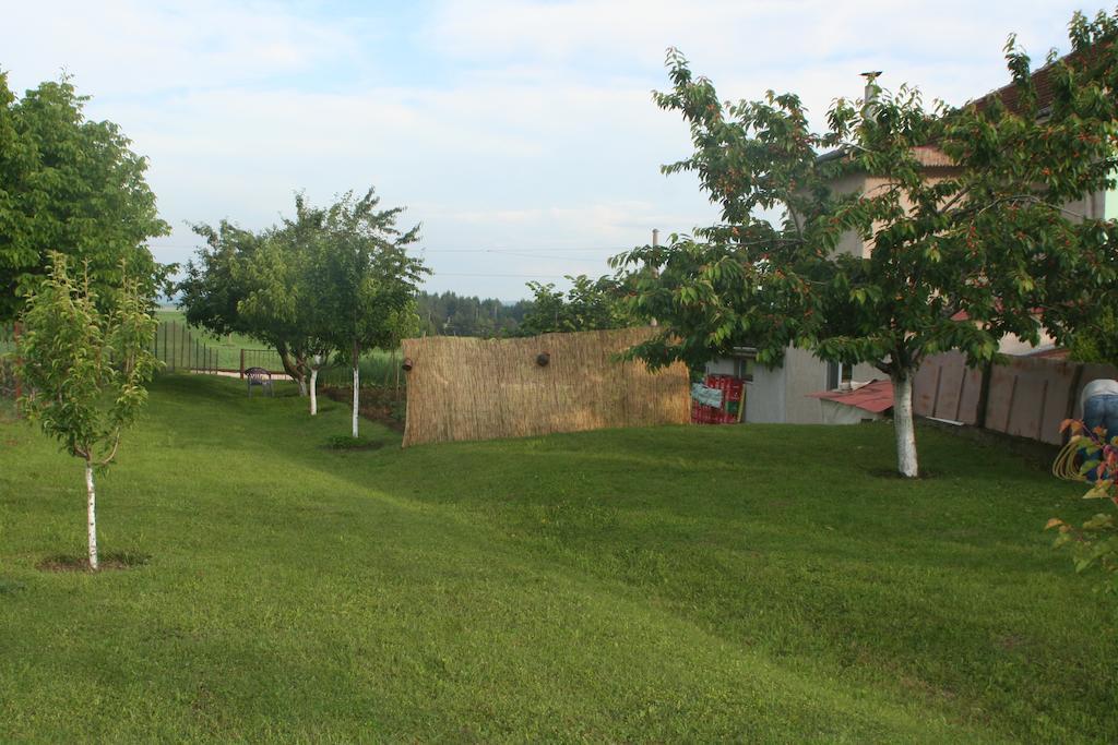 Guest House Edelvais Dve Mogili Екстер'єр фото