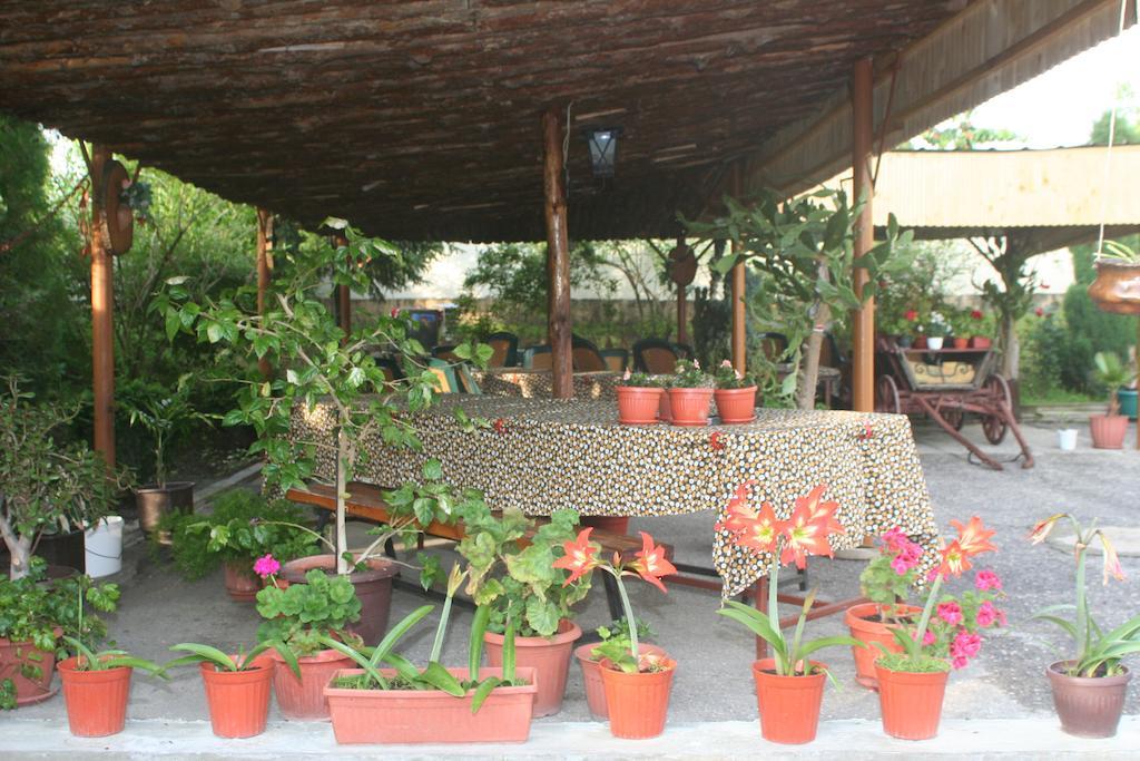 Guest House Edelvais Dve Mogili Екстер'єр фото